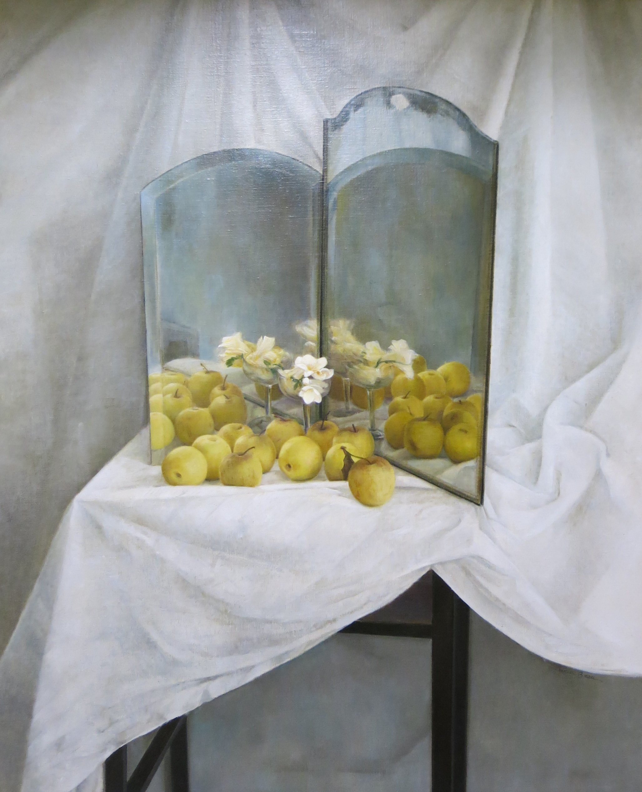 81.1 copia 81.1 copia