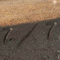 561 3