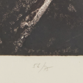 1123-3