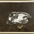 1160-1